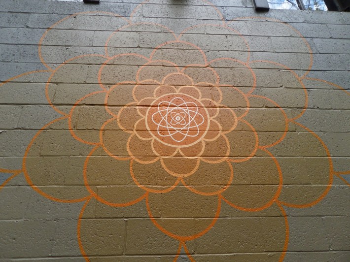 purcell_natgeo_closeup2