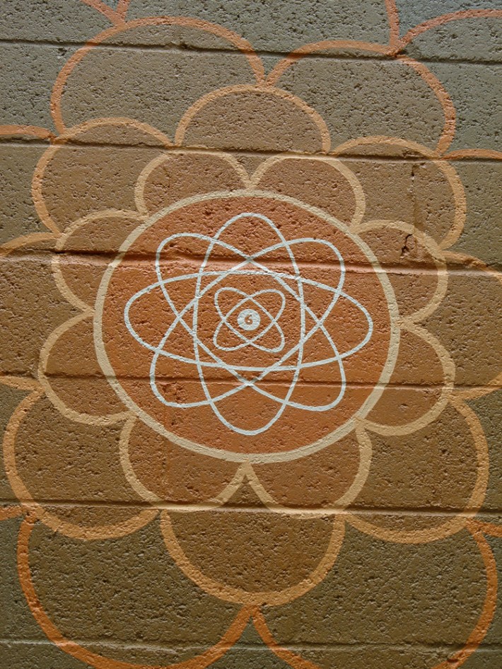 purcell_natgeo_closeup3