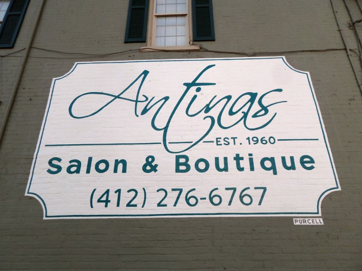 purcell_antinas_final1