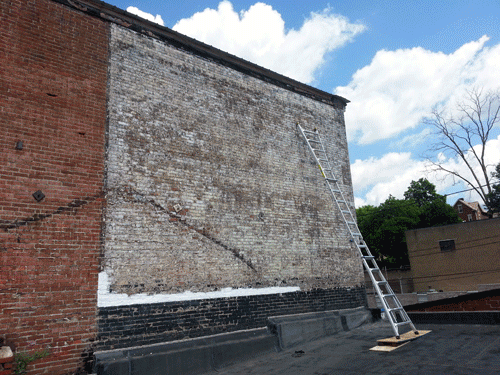 purcell-ID-Animation